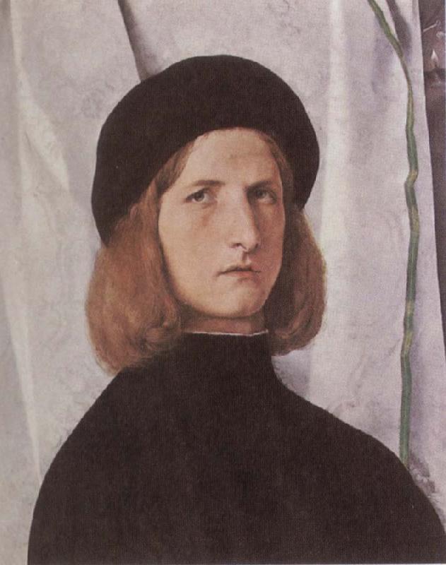 Lorenzo Lotto Portrait of a Youth Against a White Curtain oil painting picture